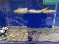 -狮王府淮扬菜(新街口友谊店)