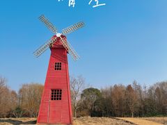 -同里国家湿地公园