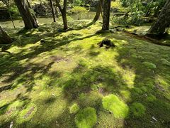 -西芳寺(苔寺)