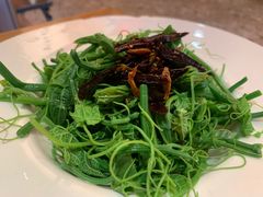 -新凯里酸汤鱼(飞山街店)