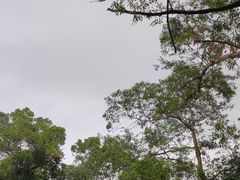 -火炉山森林公园