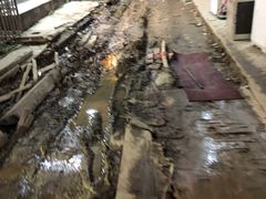 -糯米包油条(武汉大学店)