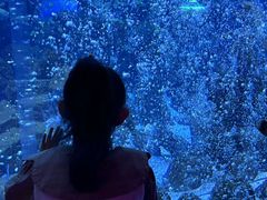 -哈尔滨波塞冬海底世界