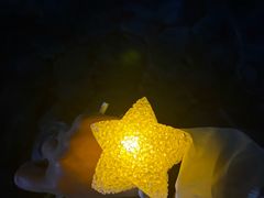 -洋湖国家湿地公园