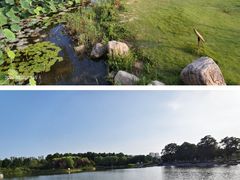 -郑州植物园