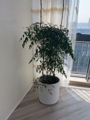 -HEYAN荷妍专业脱毛连锁机构