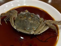 -红灯笼龙凤饭店(宁波老字号店)