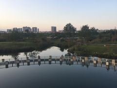-眉山湿地公园(东坡区)