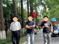 -黄海国家森林公园