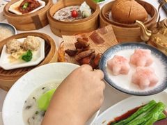 -泉龙渔村·粤式早茶·金牌烧鹅(中山三乡店)