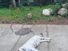-西安秦岭野生动物园
