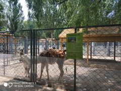 -长白岛森林公园