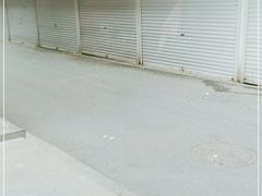 -四海蒸鲜蒸汽海鲜自助(北戴河店)