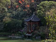 -云溪植物园