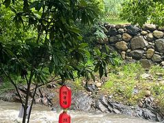 -石台牯牛降景区