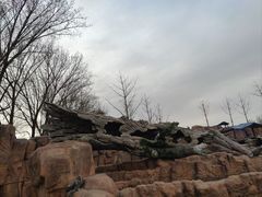 -北京野生动物园