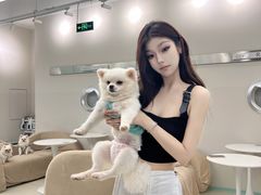 -怪兽屋·羊驼·猫咖·狗咖(俊华广场店)