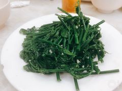 五指山野菜-太婆抱罗粉