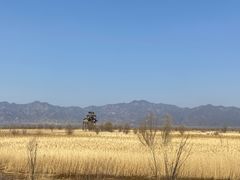 -野鸭湖国家湿地公园