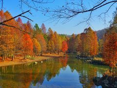 -灵谷景区