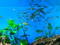 -太平洋海底世界