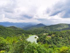 -广州白江湖森林公园