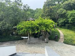 -东航云逸酒店(九溪烟树店)