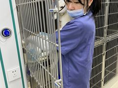 -福州肆爪动物医院
