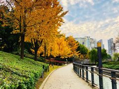 -苏州河梦清园环保主题公园