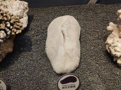 -中国湿地博物馆