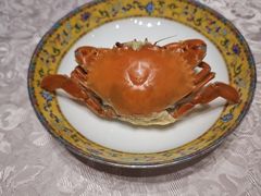 -新光酒家·河豚·海鲜·蟹料理(浦东店)