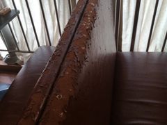 -喵园·猫主题咖啡厅·撸猫·猫咖(国贸店)