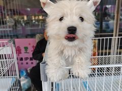 -济南高新万达广场