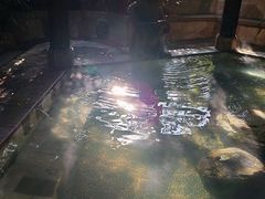 -厦门日月谷温泉渡假村