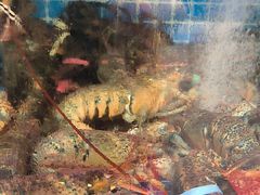 -东海章鱼馆(恒瑞街店)