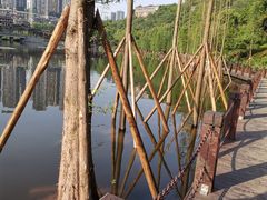 -重庆彩云湖湿地公园