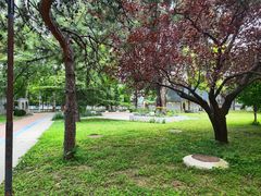 -中国政法大学(昌平校区)
