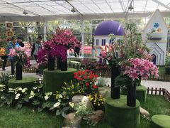 -上海鲜花港