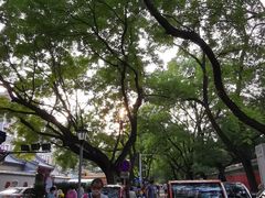-北京国子监胡同