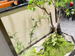 -刘胖子家常菜·蹄花焖藕(中南店)