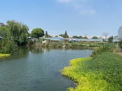 -马陆小张葡萄园农家乐