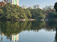-晓港公园
