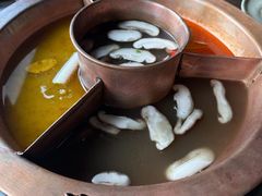 -滇釜火锅·能喝汤的火锅(车公庄店)