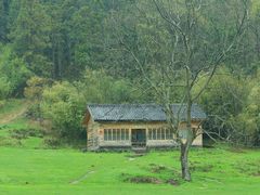 -武陵山森林公园