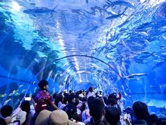 -海合安武汉极地海洋公园