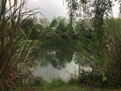 -白鹭湾湿地公园