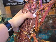 -新金盛·海鲜酒楼(盐田店)