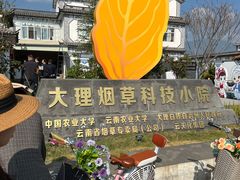 -大理洱海
