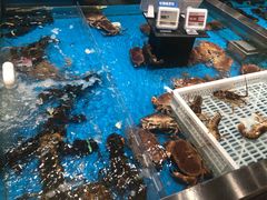 -盒马鲜生(领丰汇店)