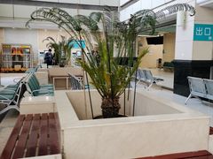 -哈尔滨医科大学附属第一医院(南岗院区)